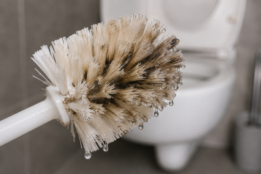 Warum viele Toilettenbürsten hygienischer wirken, als sie wirklich sind